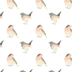 Songbird Collection I