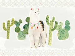 Sweet Alpaca Collection A