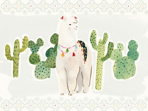 Sweet Alpaca Collection A