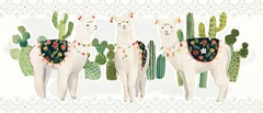 Sweet Alpaca Collection D