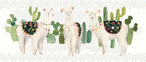 Sweet Alpaca Collection D