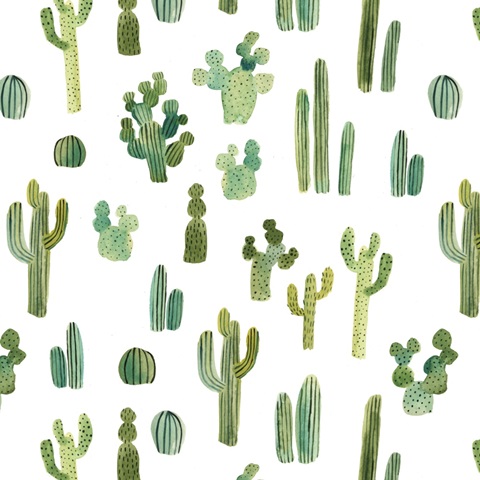 Sweet Alpaca Collection F