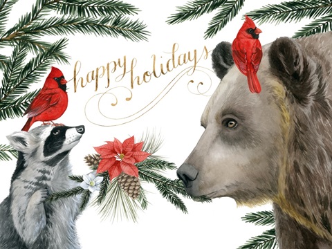 Timberland Christmas Collection A