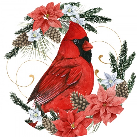 Timberland Christmas Collection C