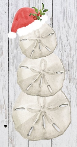 Tis the Seasun Collection B