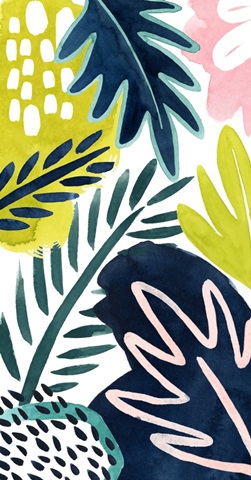 Tropical Salve Collection B