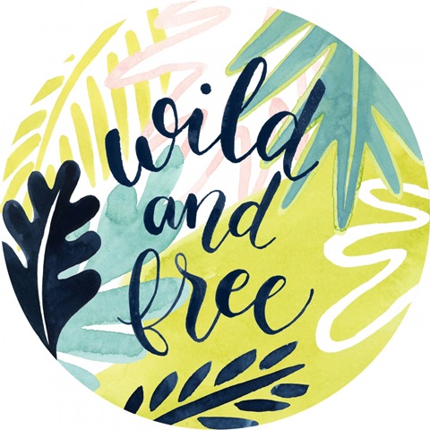 Tropical Salve Collection C