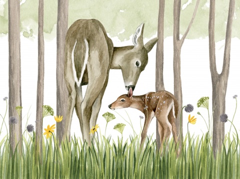 Woodland Babes Collection A