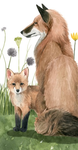 Woodland Babes Collection B