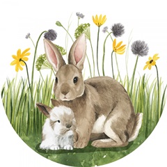 Woodland Babes Collection C