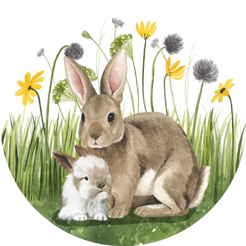 Woodland Babes Collection C