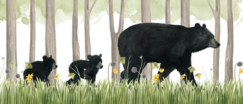 Woodland Babes Collection D