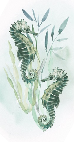 Coastal Vibes Collection B