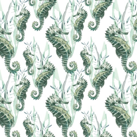 Coastal Vibes Collection F