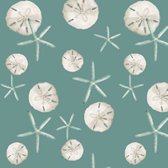 Coastal Vibes Collection G