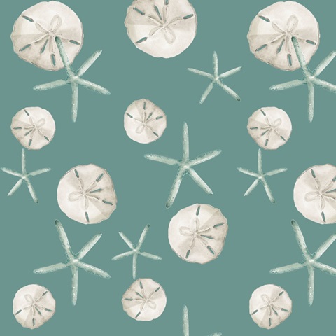 Coastal Vibes Collection G