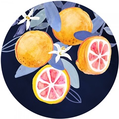 Fresh Fruit Collection C