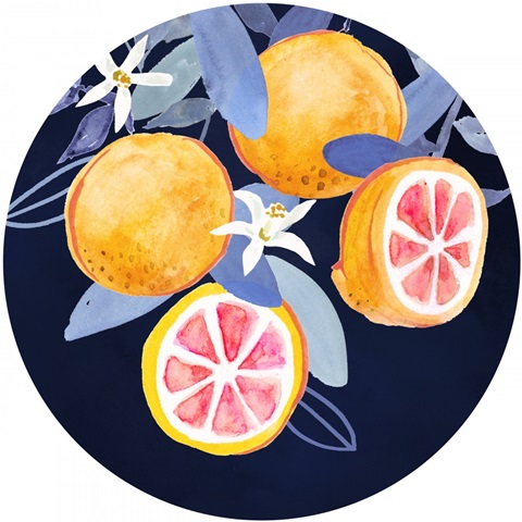 Fresh Fruit Collection C