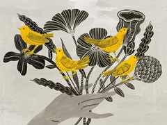 Birds in My Garden Collection A