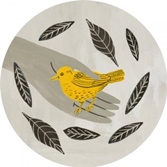 Birds in My Garden Collection C