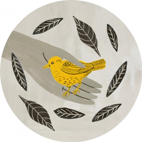 Birds in My Garden Collection C