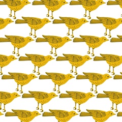 Birds in My Garden Collection G