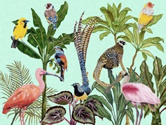 Birds Paradise Collection A