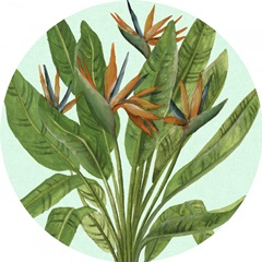 Birds Paradise Collection C