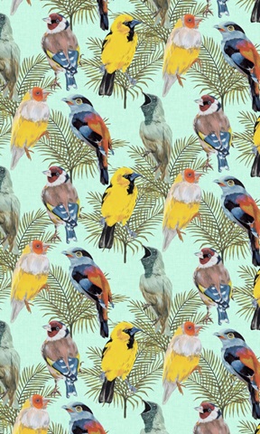 Birds Paradise Collection E