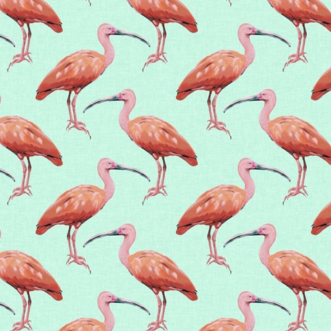 Birds Paradise Collection G