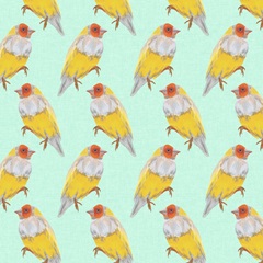 Birds Paradise Collection I