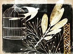 Black Night Collection A