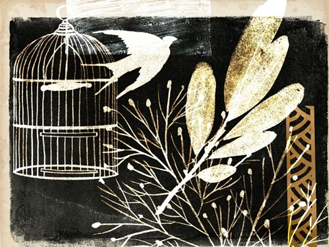 Black Night Collection A