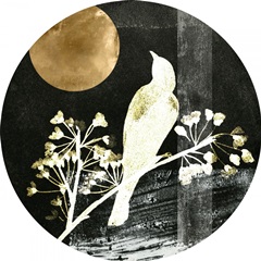 Black Night Collection C