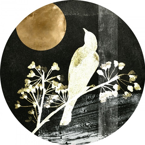 Black Night Collection C