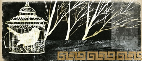 Black Night Collection D