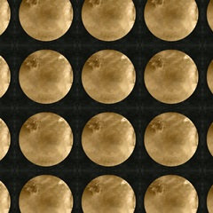 Black Night Collection G