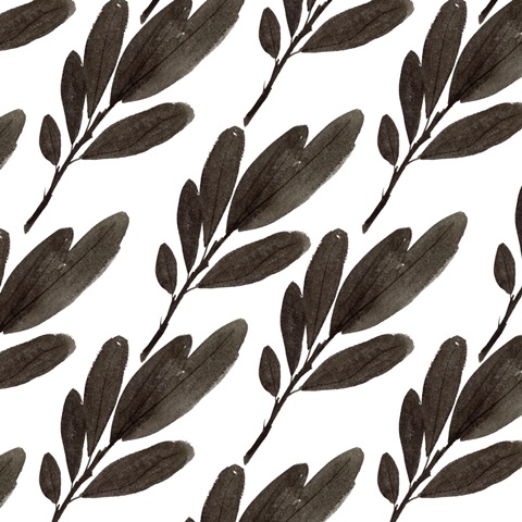 Black Night Collection H