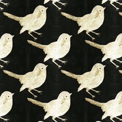 Black Night Collection I