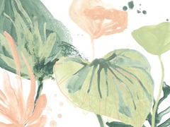 Blush Breeze Collection A