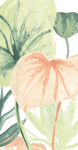 Blush Breeze Collection B