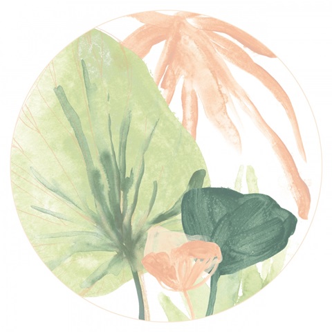 Blush Breeze Collection C