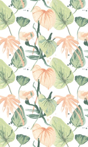 Blush Breeze Collection E