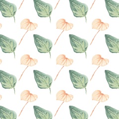 Blush Breeze Collection G