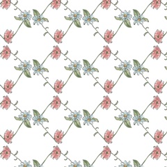 Boho Garden Collection F