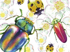 Buggin Out Collection A