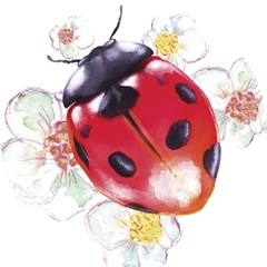 Buggin Out Collection C