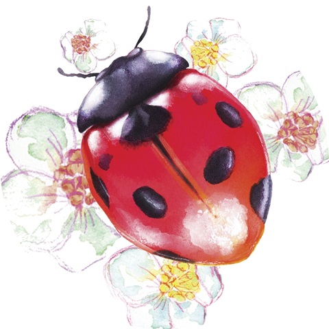 Buggin Out Collection C