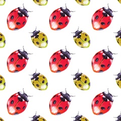 Buggin Out Collection F