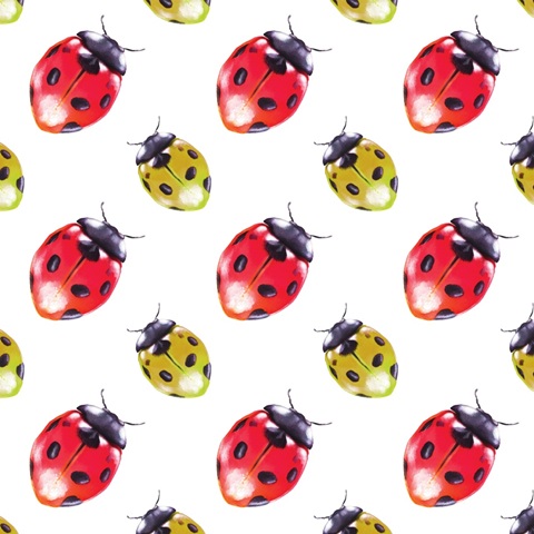 Buggin Out Collection F